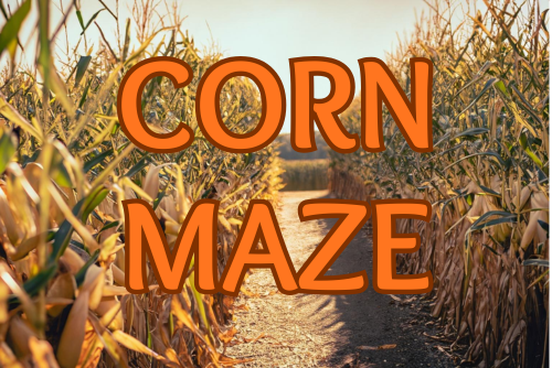 entrance into a corn maze