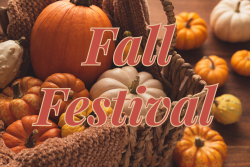 basket of pumpkins and other gourds